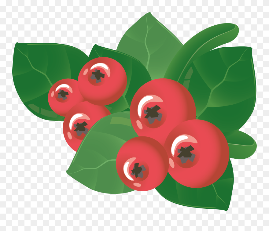 Berry Vector Leaf - Clip Art - Png Download