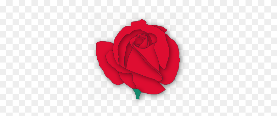 Red Rose Clip Art At Clker - Garden Roses - Png Download