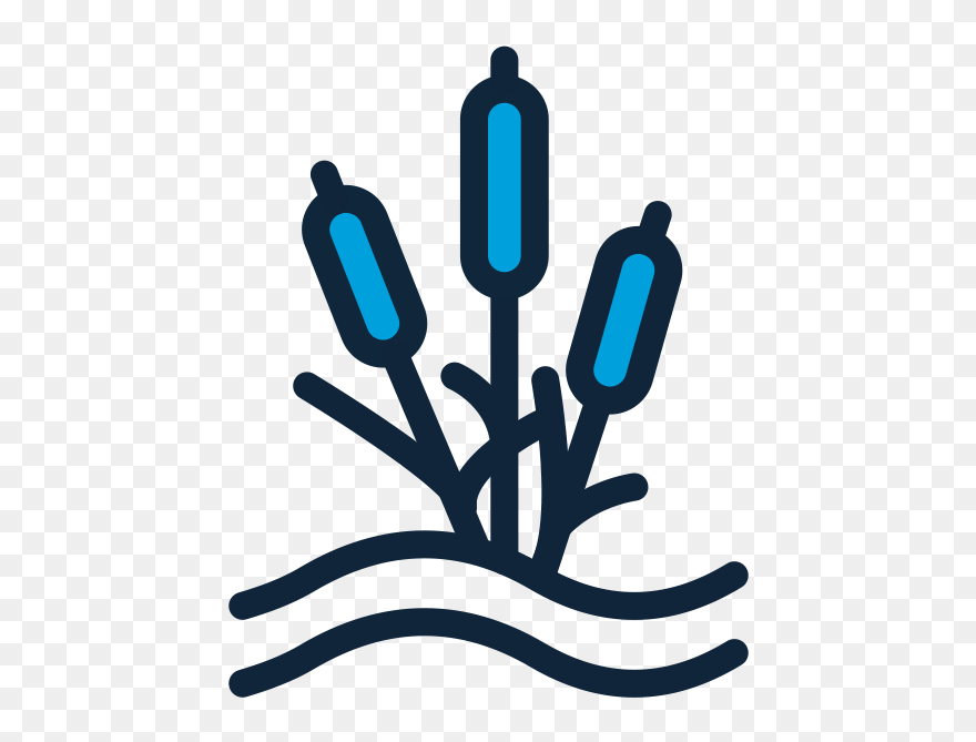 Wetland Icon Clipart