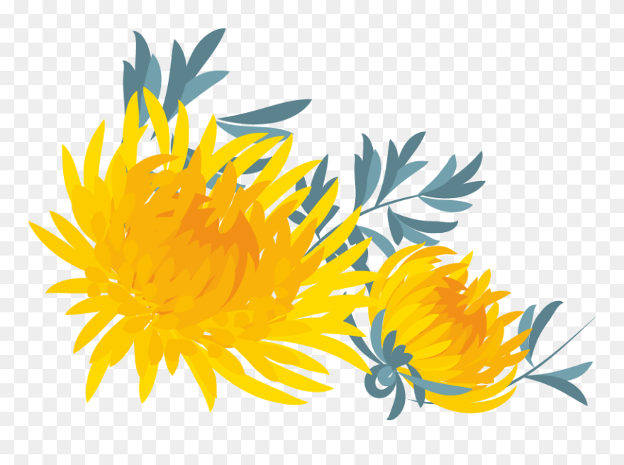 Sunflower Clipart
