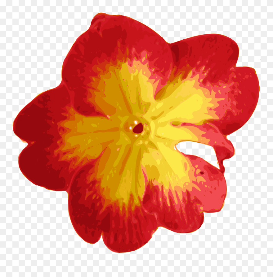 Yellow Red Flower Clipart - Png Download