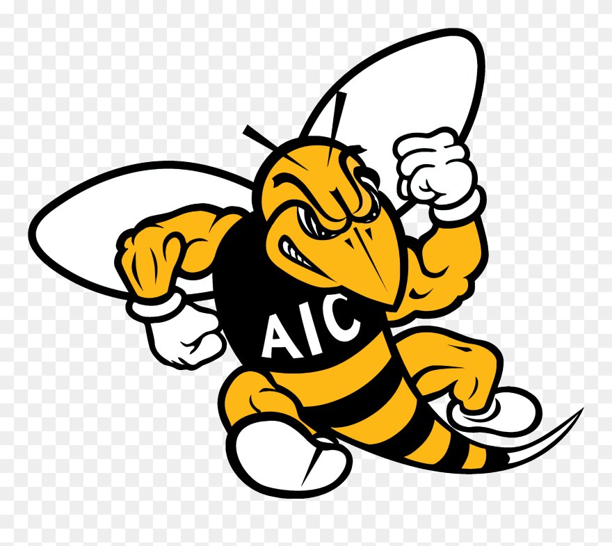 Yellow Jackets, American International College - Yellow Jackets American International College Clipart