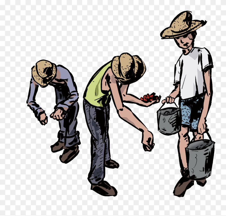 Migrant Worker Clipart - Png Download