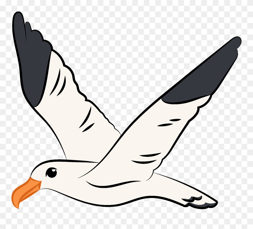 Flying Clipart Seagull - Flying Seagull Clipart - Png Download