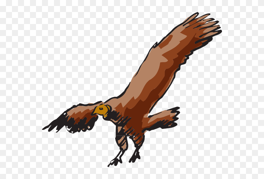 Vulture Clipart Flying - Flying Vulture Clipart - Png Download
