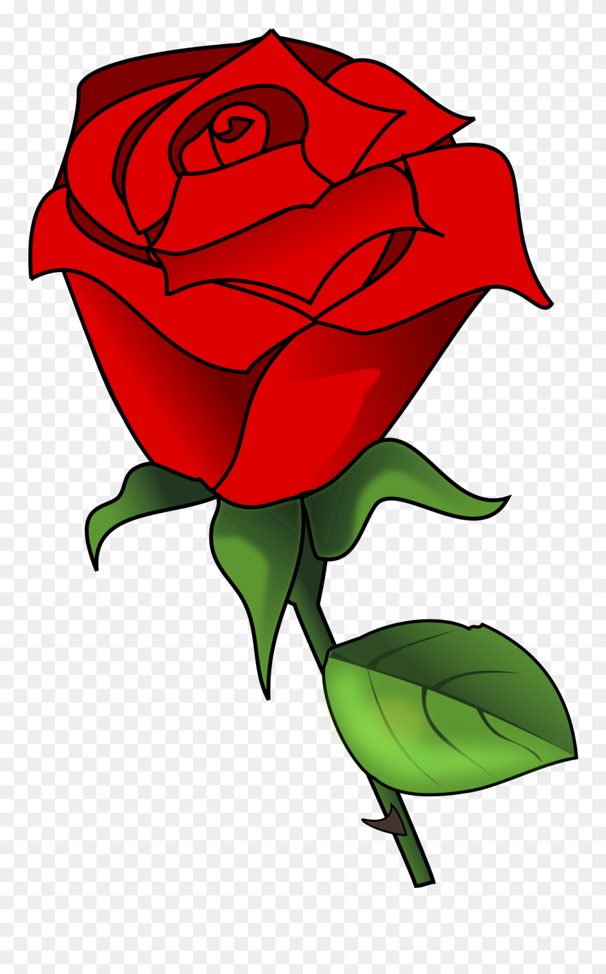 Red Rose Vector Png Clipart