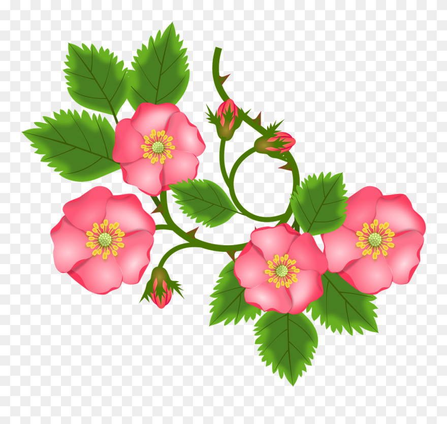 Clip Art Bunga Png Transparent Png