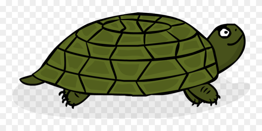 Coding Adventure Turtle - Gopher Tortoise Clipart