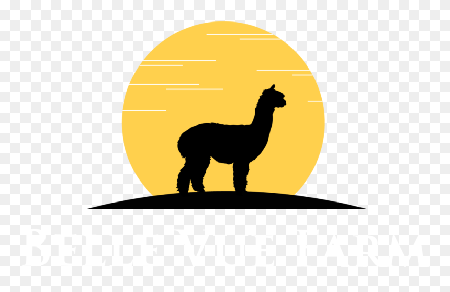 Belle Vue Farm Llc - Camel Clipart