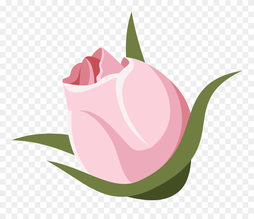 Tulip Clipart