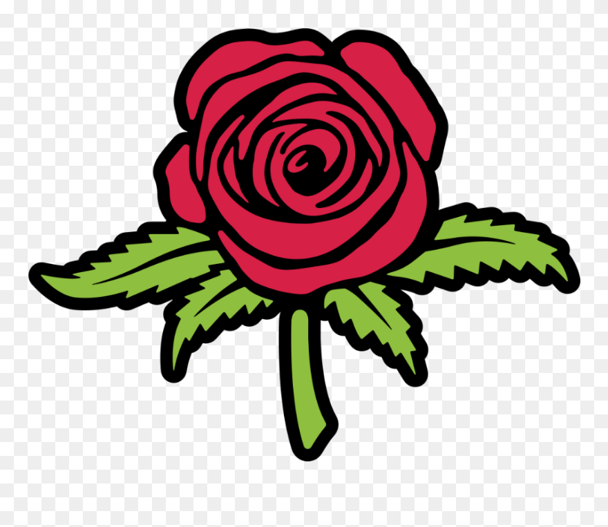 Hybrid Tea Rose Clipart