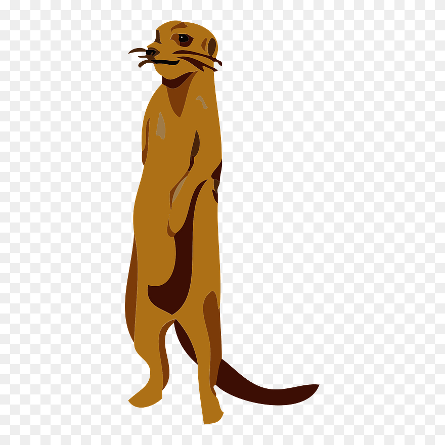 Meerkat Animal Clipart - Illustration - Png Download