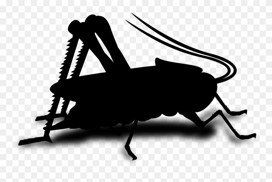 Musical Composition Song Arrangement Image Gif - Gambar Animasi Jangkrik Clipart