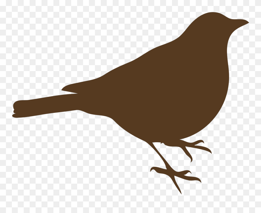 Draw A Bird On A Wall Clipart