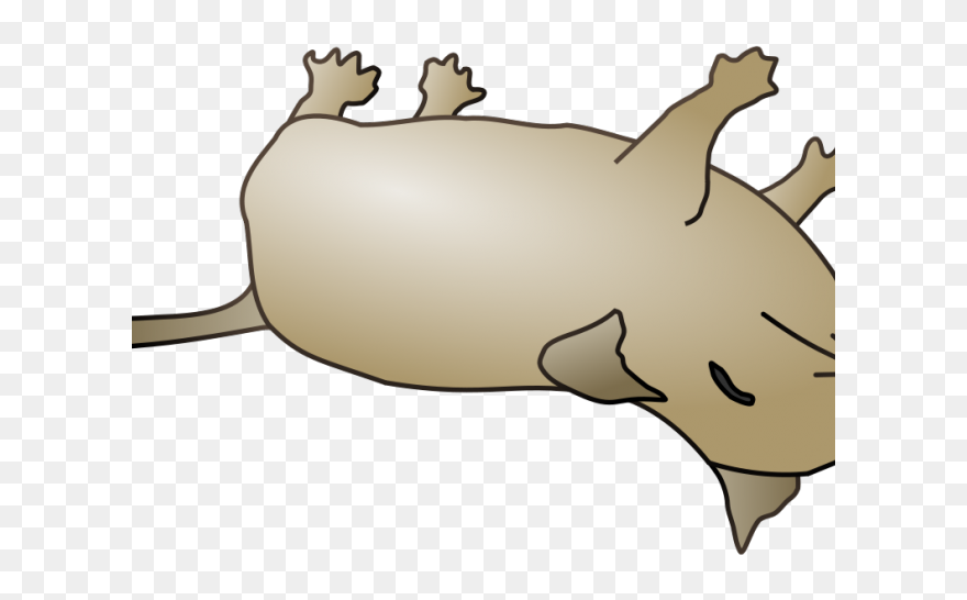 Dead Animal Clipart Png Transparent Png