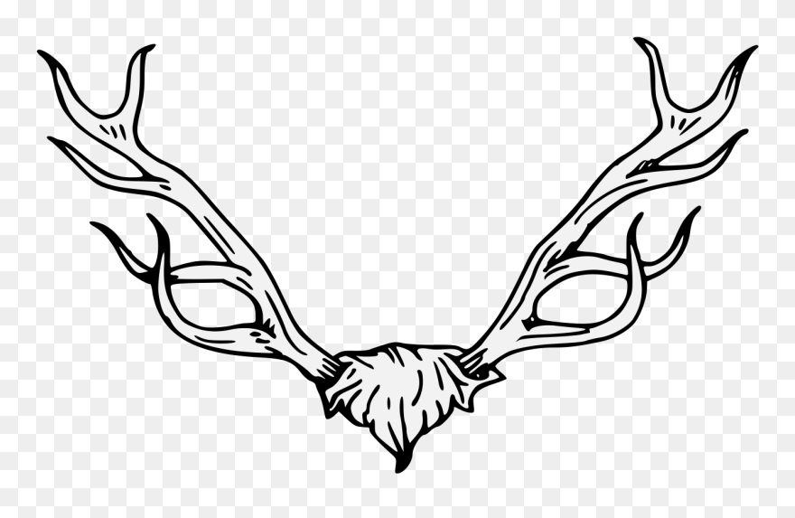 Antler Clipart Traceable , Png Download - Stag Head Heraldry Transparent Png