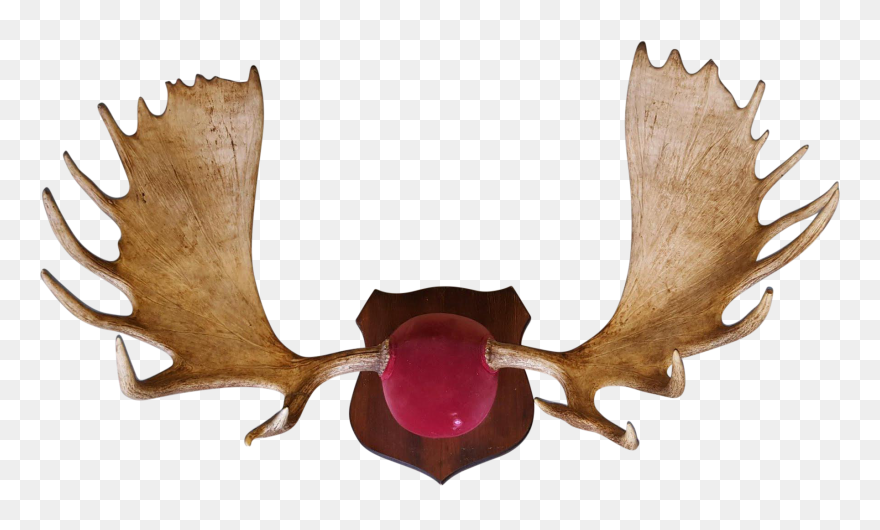 Hand Painted Antlers Png Download - Antler Clipart