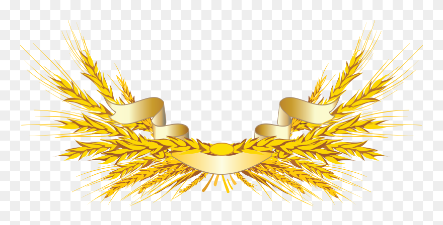 Wheat Free Vector Png Clipart