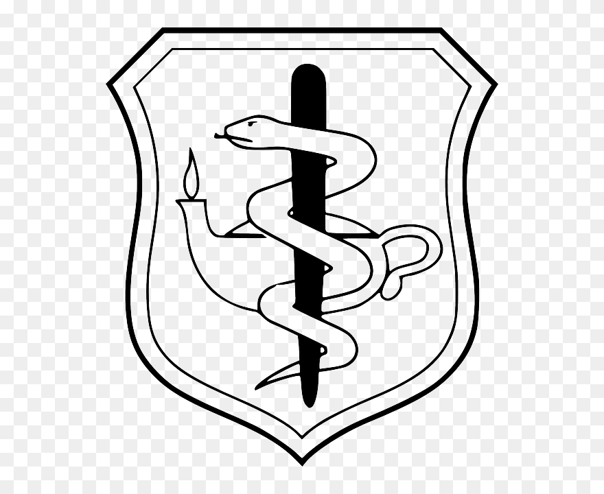 Snake, States, Symbol, Lamp, Doctor, Nurse, Shield - Air Force Nurse Badge Clipart