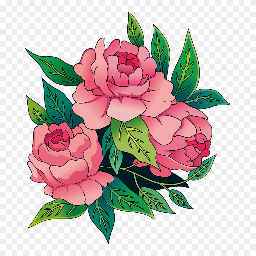 Peonies Clipart - Japanese Camellia - Png Download