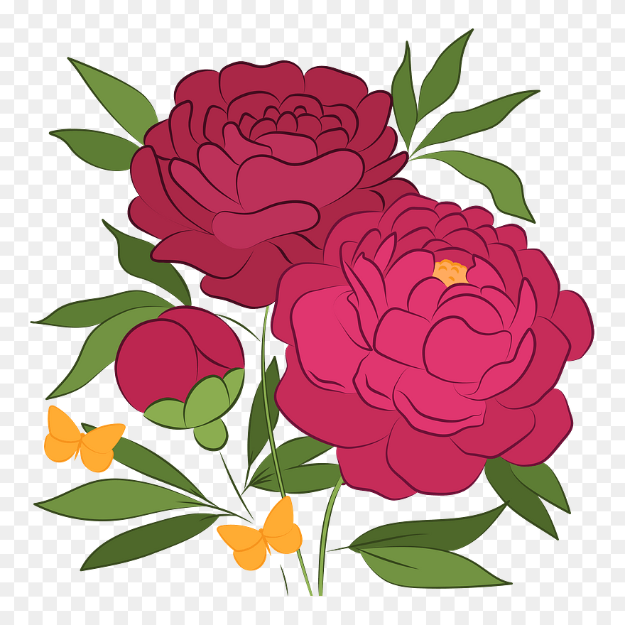 Peonies Clipart - Common Zinnia - Png Download