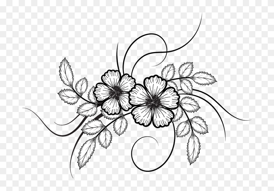 Peonies Drawing Victorian For Free Download - Drawing Flower Art Design Clipart