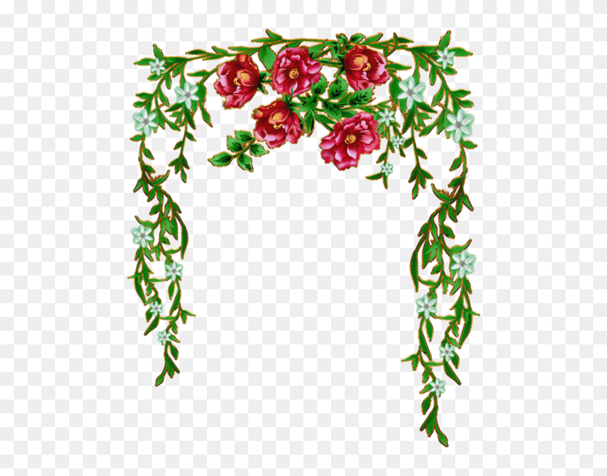 Roses And Peonies - Sayfa Kenar Süsleri Clipart