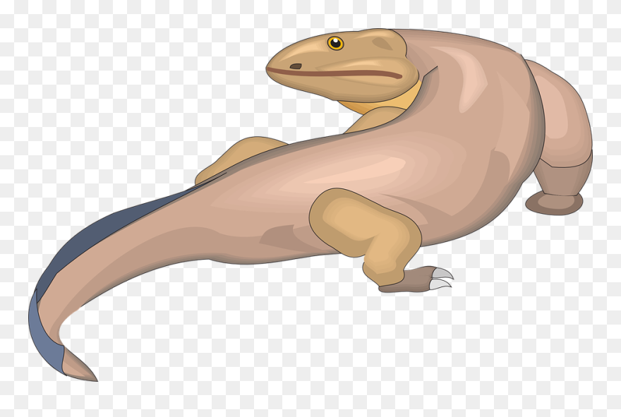 Ferret Clipart Looking Back - Ichthyostega Clipart - Png Download