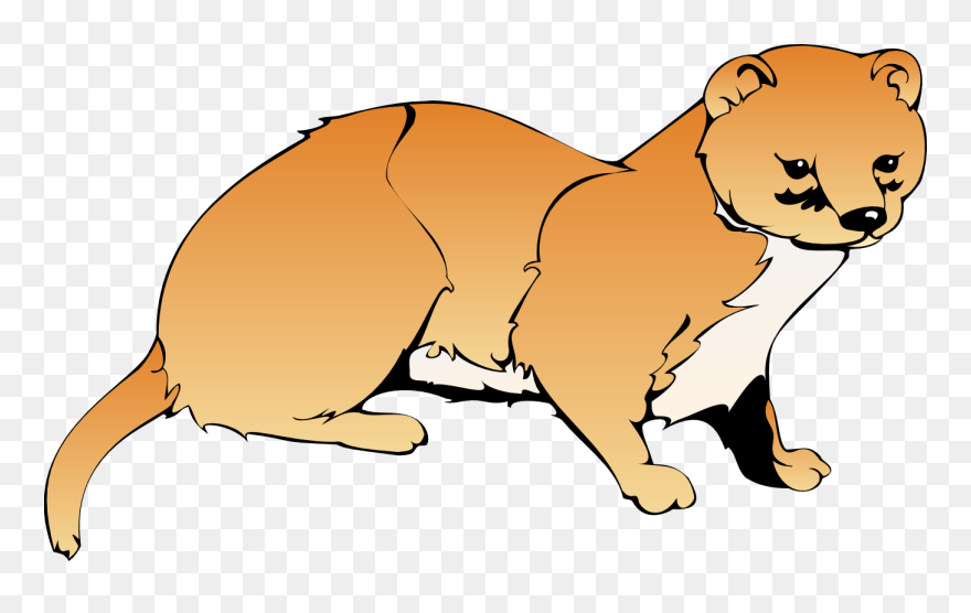 Weasel Clipart - Weasel Clip Art - Png Download