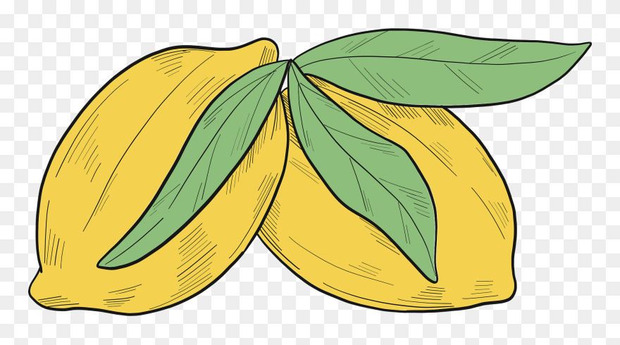 Clip Art - Png Download