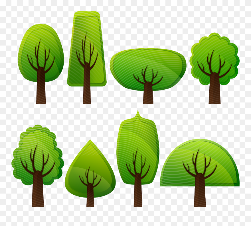 Eucalyptus Clipart - Png Download