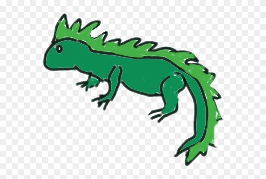 #iguana - Green Iguana Clipart