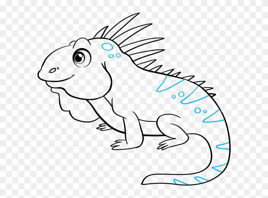 How To Draw Iguana - Easy Iguana Drawing Clipart