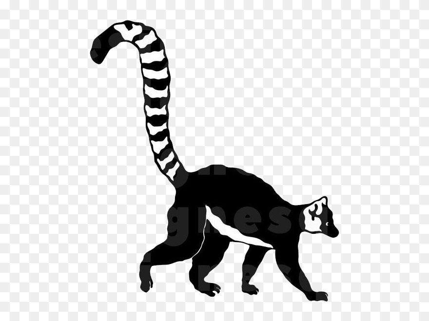 Lemur Tail Transparent Png - Lemur Png Black And White Clipart