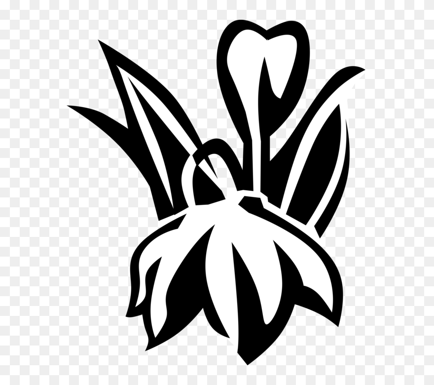 Vector Illustration Of Blue Eyed Grass Satin Flower - Emblem Clipart