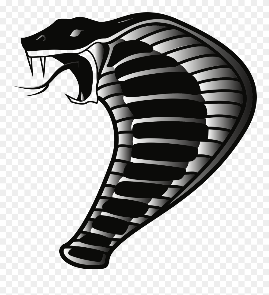 Cobra Png Images - Cobra Vector Png Clipart