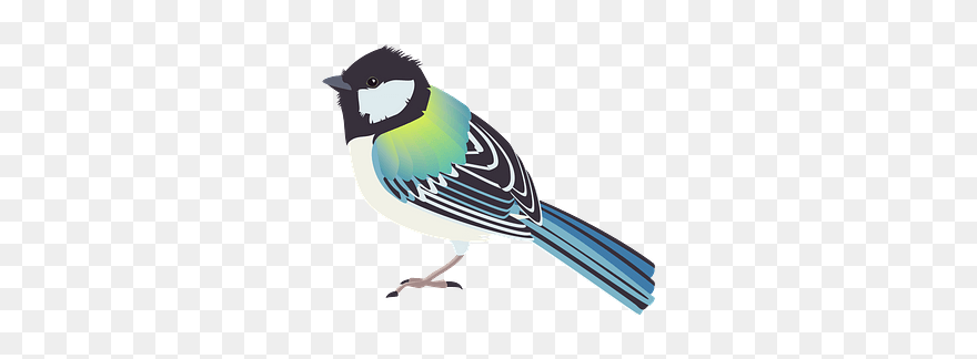 Japanese Tit Bird Clipart - シジュウカラ イラスト フリー - Png Download
