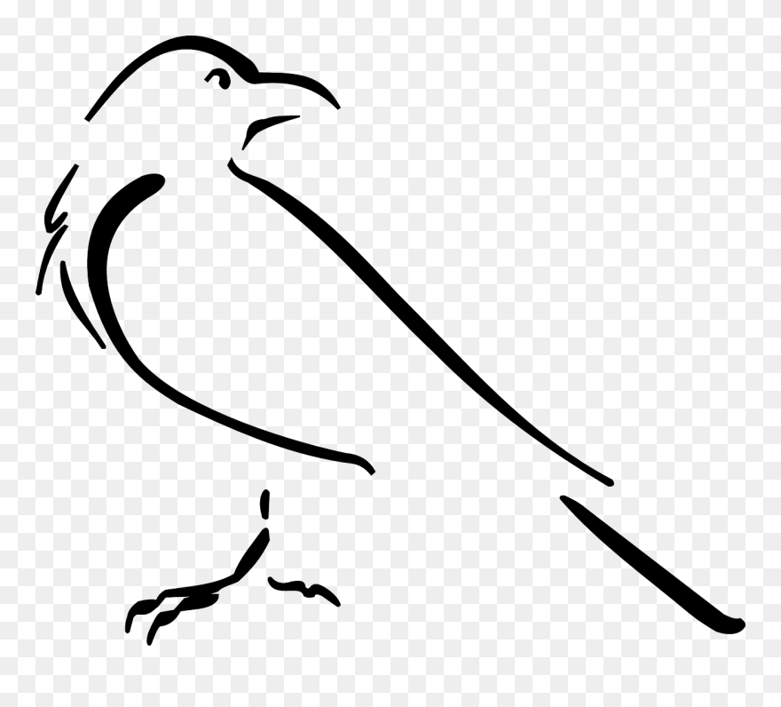 Crow Clipart Easy - Crow Drawing Outline - Png Download