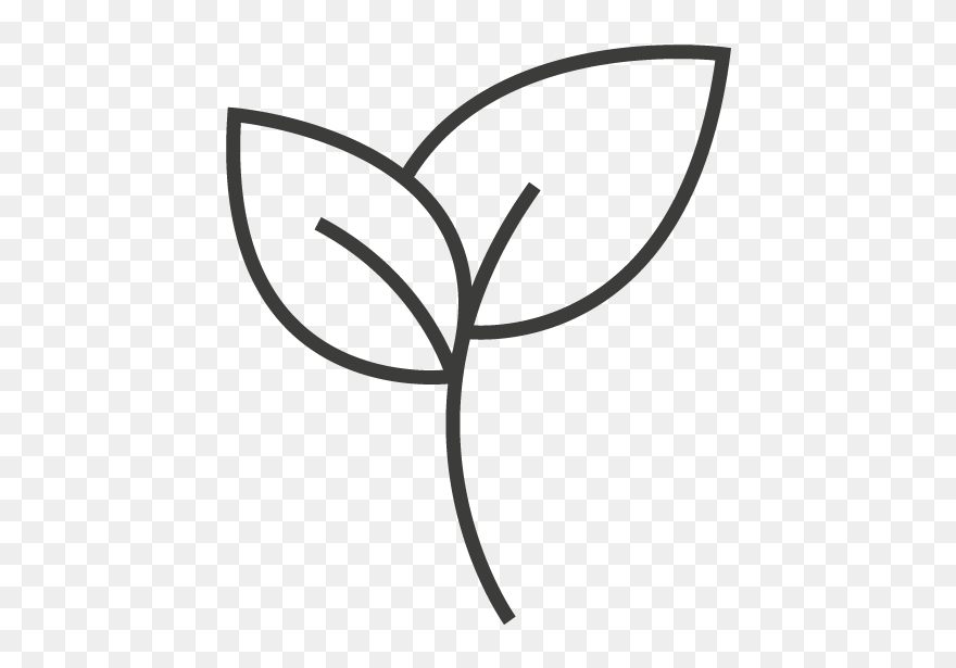 Eco - Caule Flor Para Colorir Clipart