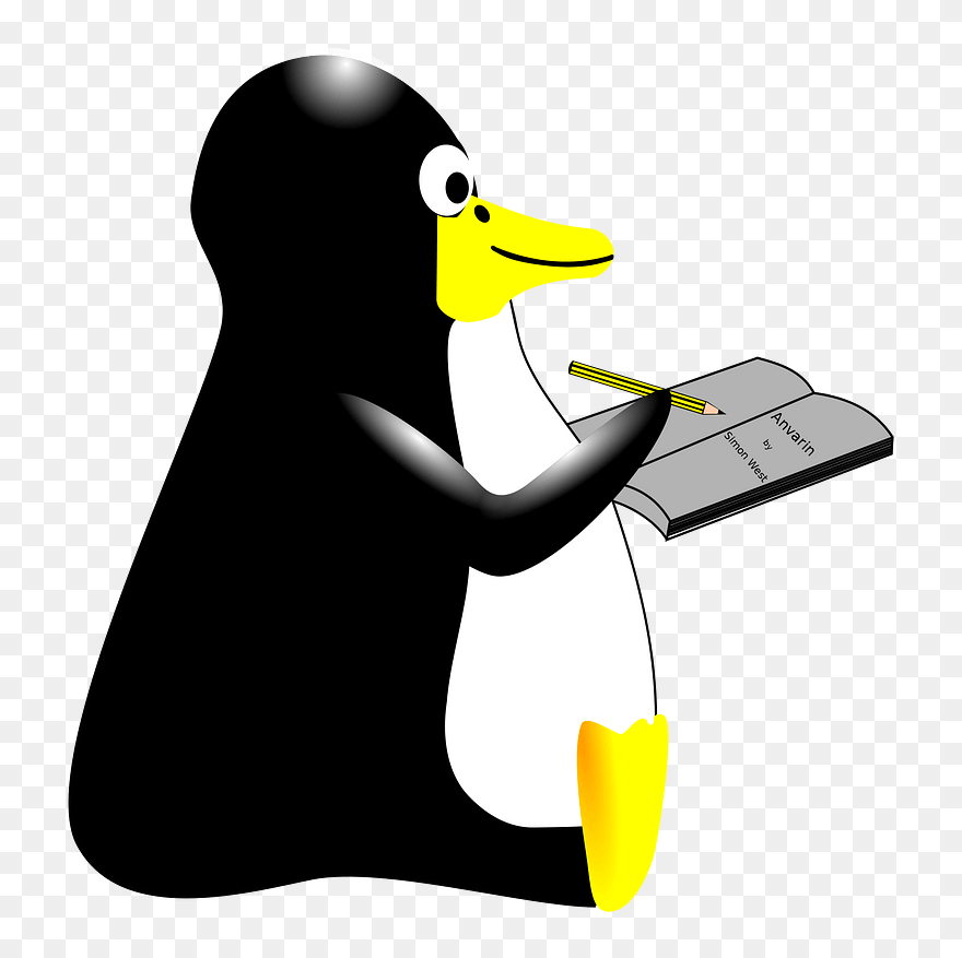 Flightless Bird,vertebrate,bird - Penguin Writing Clipart - Png Download