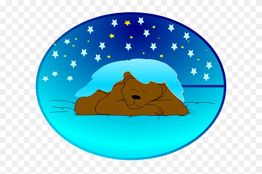 Bear Hibernating - Hibernation Poem For Preschool Clipart