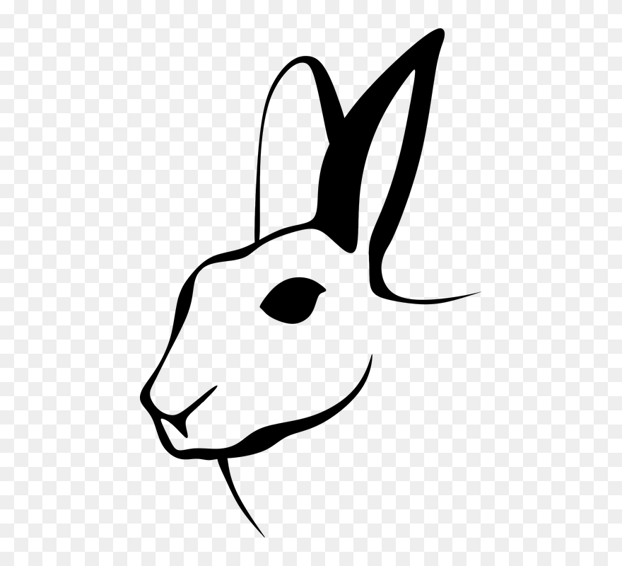 Rabbit Silhouette Png Head Clipart