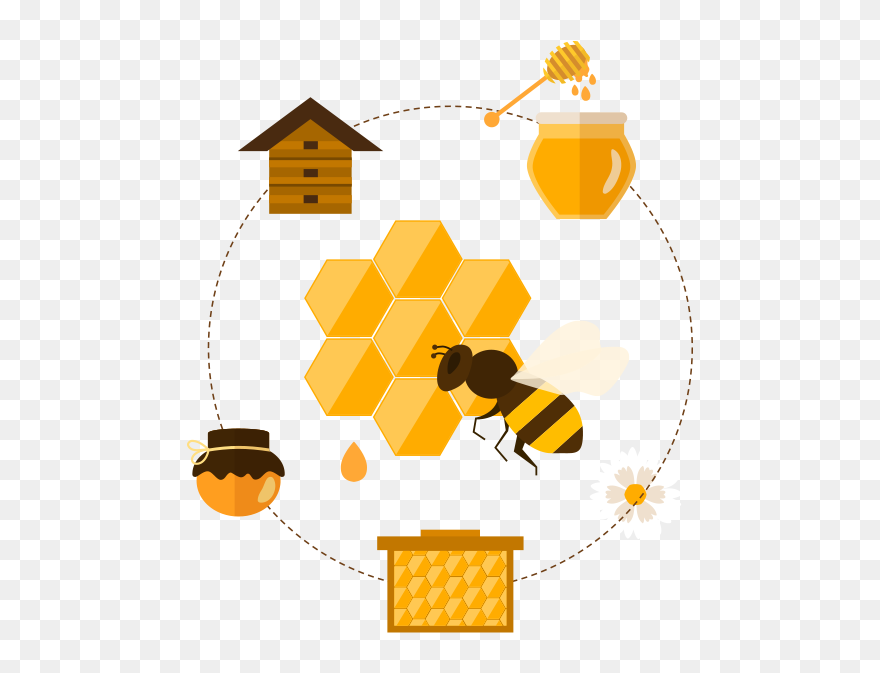 Honeycomb Clipart Bee Cell - Illustration - Png Download