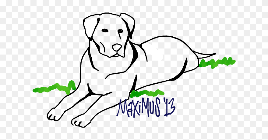 Collection Of Free Labrador Drawing Doodle Download - Sketch Clipart