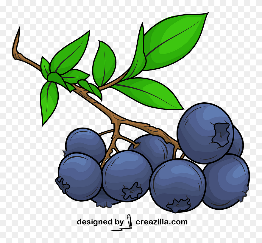 Blueberry Vector Clipart