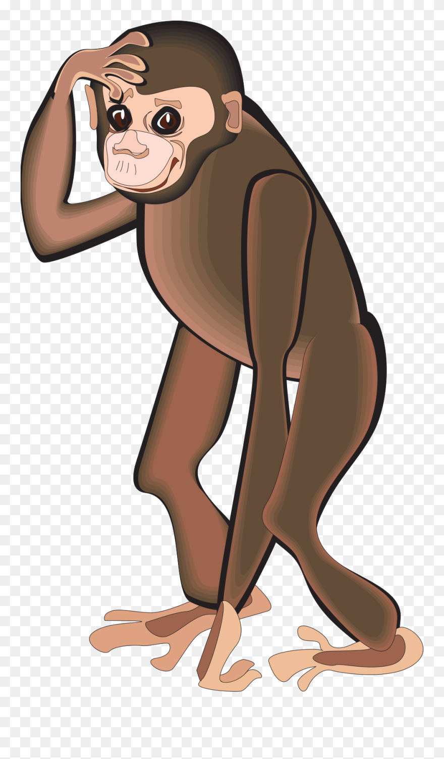 Monkey Scratching Head Png Clipart
