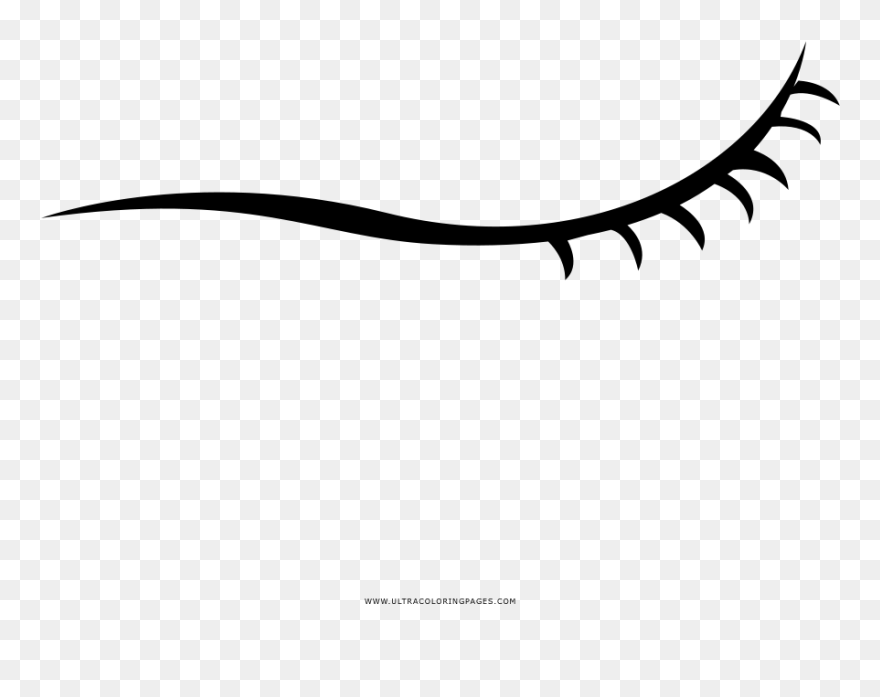 Transparent Eyelashes Clipart - Png Download