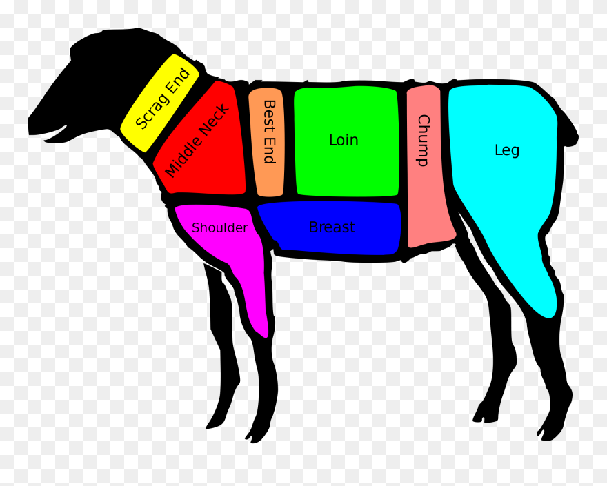 Major Cuts Of Lamb Clipart