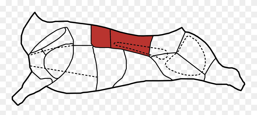 Bul Striploinrib - Line Art Clipart