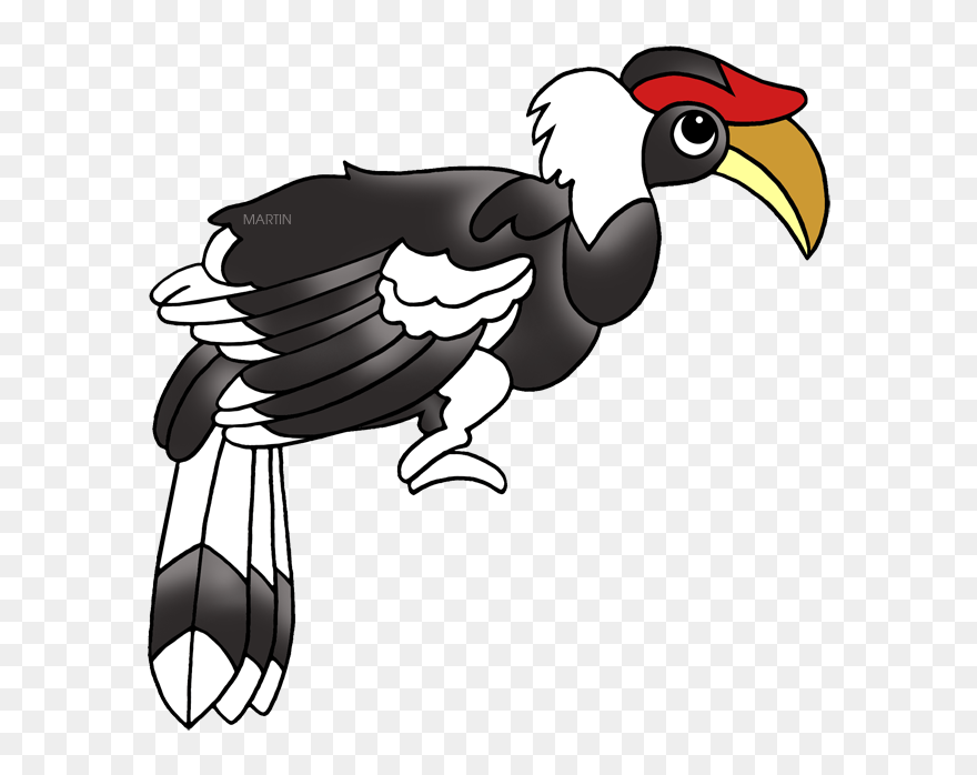 Malaysia Hornbill - Malaysia Hornbill Png Clipart
